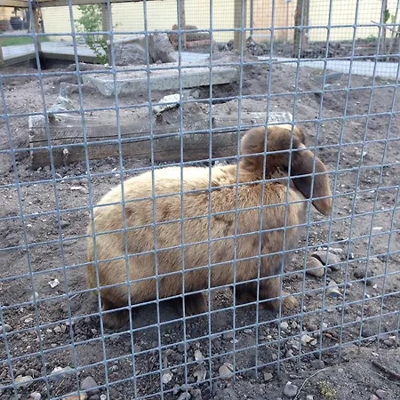 Birkende Nocleg ze śniadaniem 2*