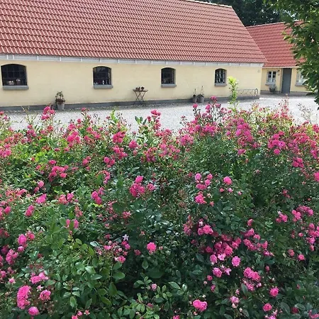 Nocleg ze śniadaniem Birkende