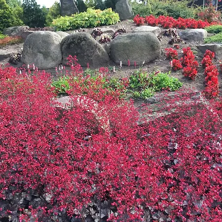 Birkende 2* Langeskov