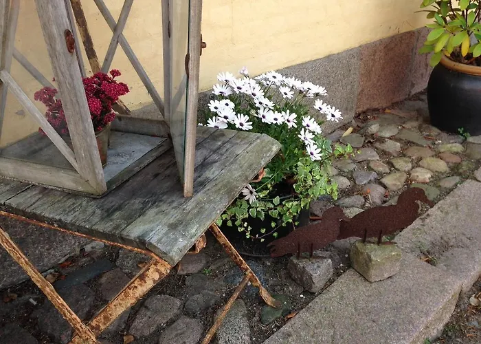 Alojamento de Acomodação e Pequeno-almoço Birkende Langeskov