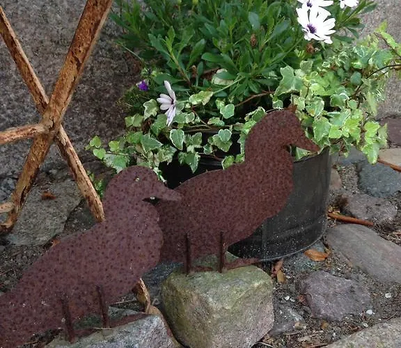 Birkende Couette-café 2*