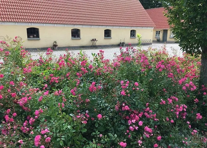 Couette-café Birkende