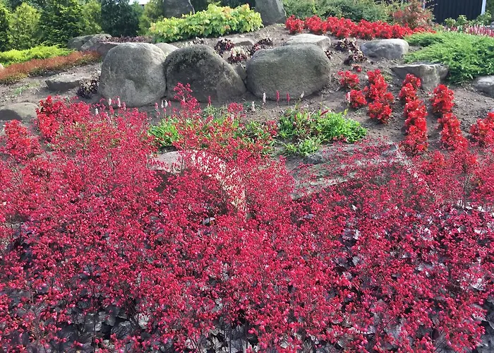 Birkende 2* Langeskov